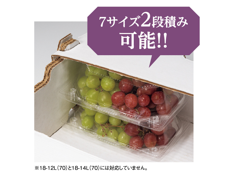 RIKO☆食べ比べ1キロ×10個 抗菌ふわっと弁当箱 1段/530mlトトロ（木イチゴ