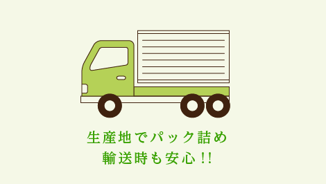 生産地でパック詰め、輸送時も安心!!